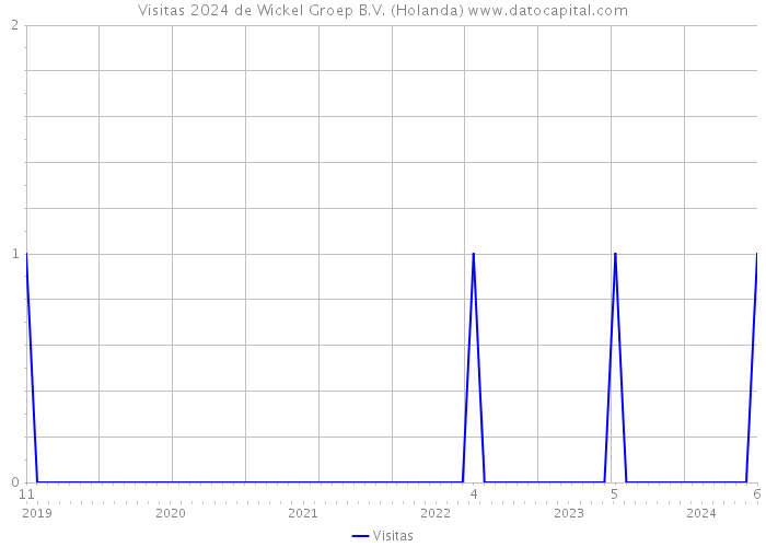 Visitas 2024 de Wickel Groep B.V. (Holanda) 