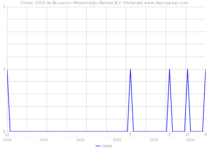 Visitas 2024 de Brouwers-Meulendijks Beheer B.V. (Holanda) 
