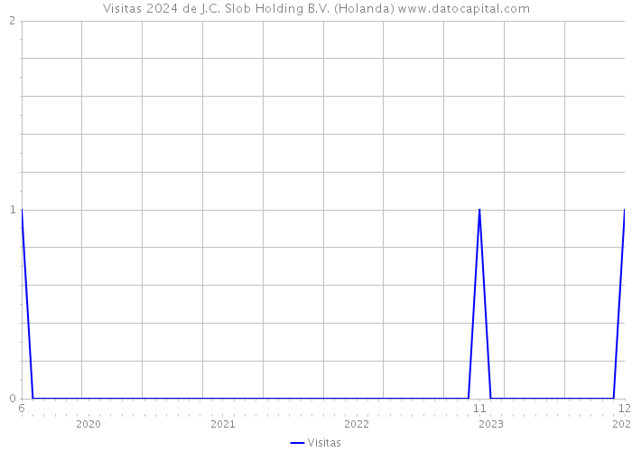 Visitas 2024 de J.C. Slob Holding B.V. (Holanda) 