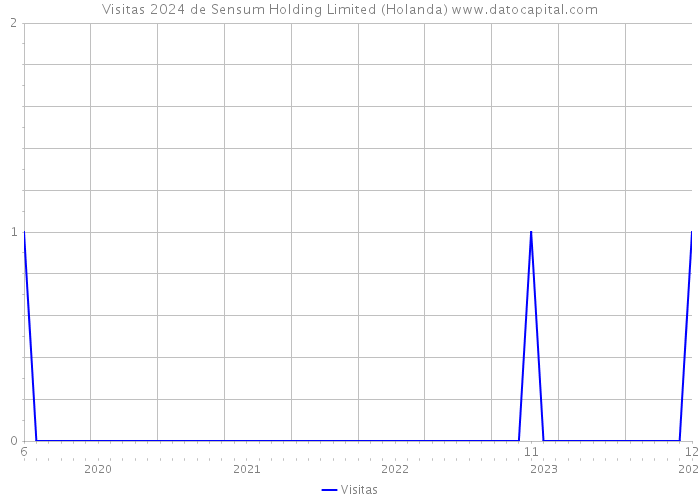 Visitas 2024 de Sensum Holding Limited (Holanda) 