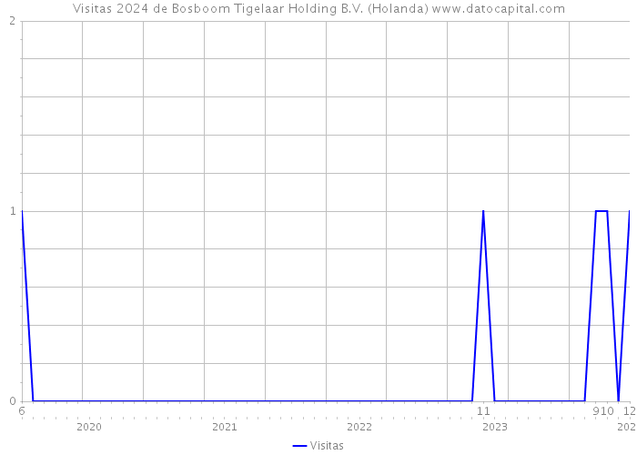 Visitas 2024 de Bosboom Tigelaar Holding B.V. (Holanda) 