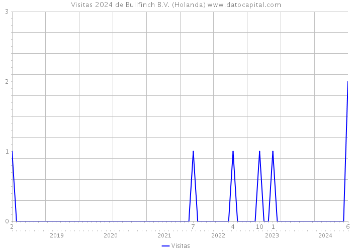 Visitas 2024 de Bullfinch B.V. (Holanda) 