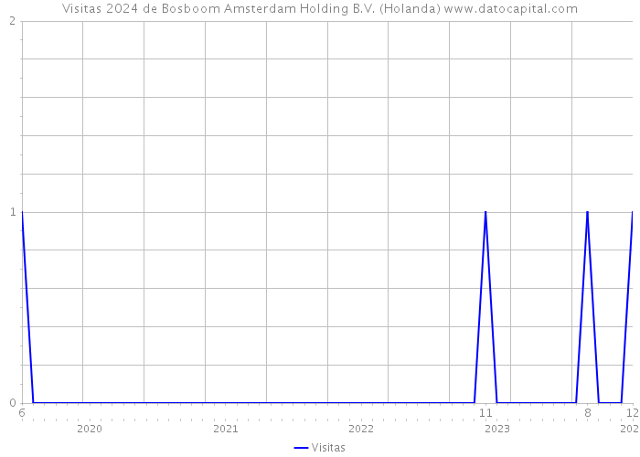 Visitas 2024 de Bosboom Amsterdam Holding B.V. (Holanda) 