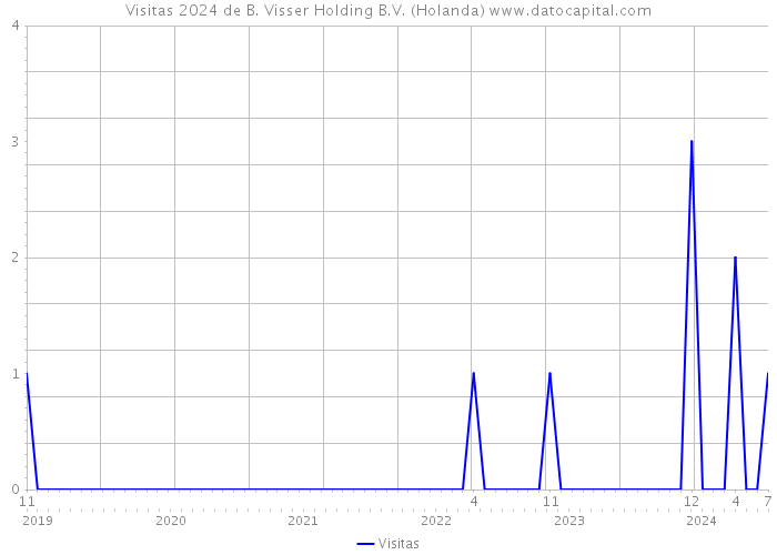 Visitas 2024 de B. Visser Holding B.V. (Holanda) 