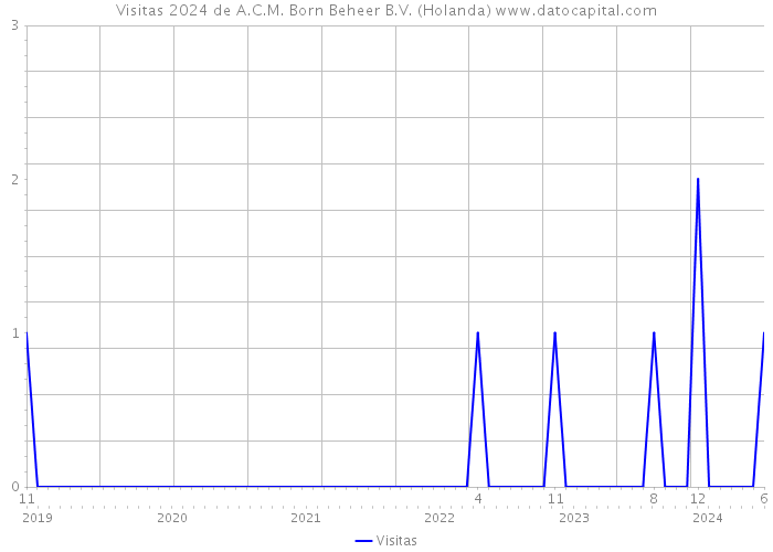 Visitas 2024 de A.C.M. Born Beheer B.V. (Holanda) 