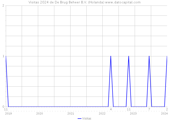 Visitas 2024 de De Brug Beheer B.V. (Holanda) 