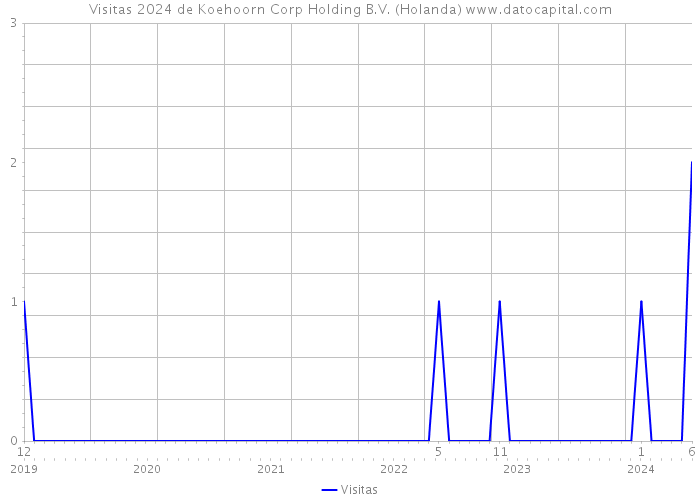 Visitas 2024 de Koehoorn Corp Holding B.V. (Holanda) 