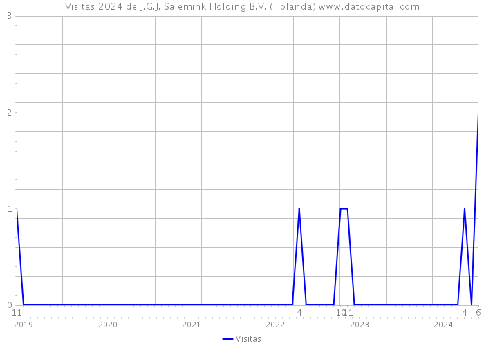 Visitas 2024 de J.G.J. Salemink Holding B.V. (Holanda) 