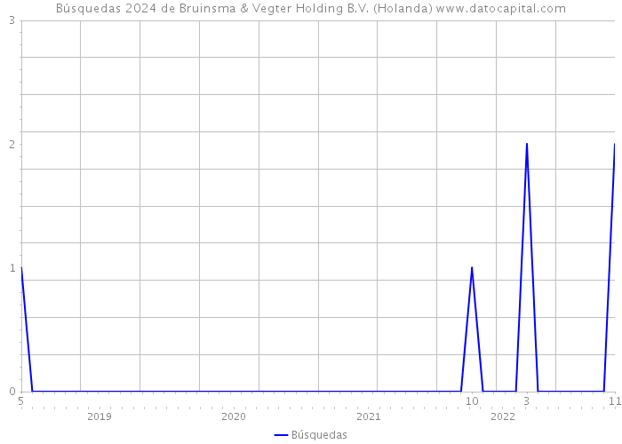 Búsquedas 2024 de Bruinsma & Vegter Holding B.V. (Holanda) 