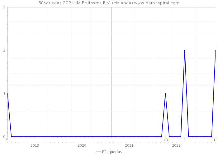 Búsquedas 2024 de Bruinsma B.V. (Holanda) 