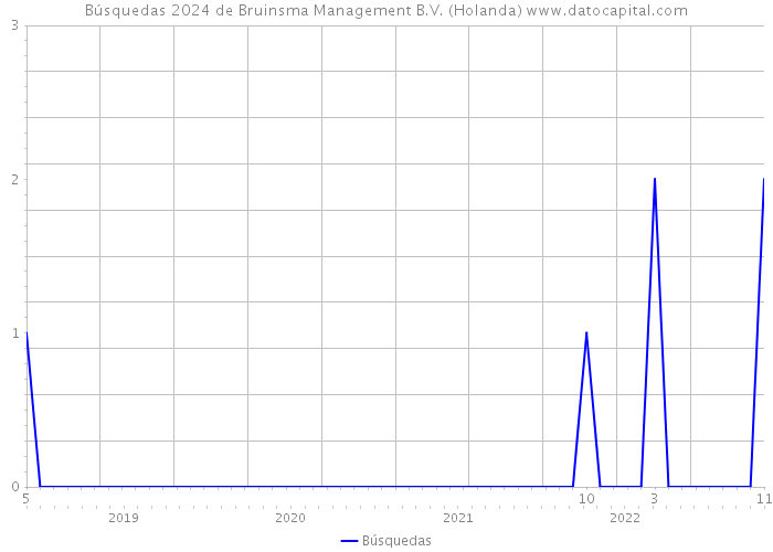 Búsquedas 2024 de Bruinsma Management B.V. (Holanda) 