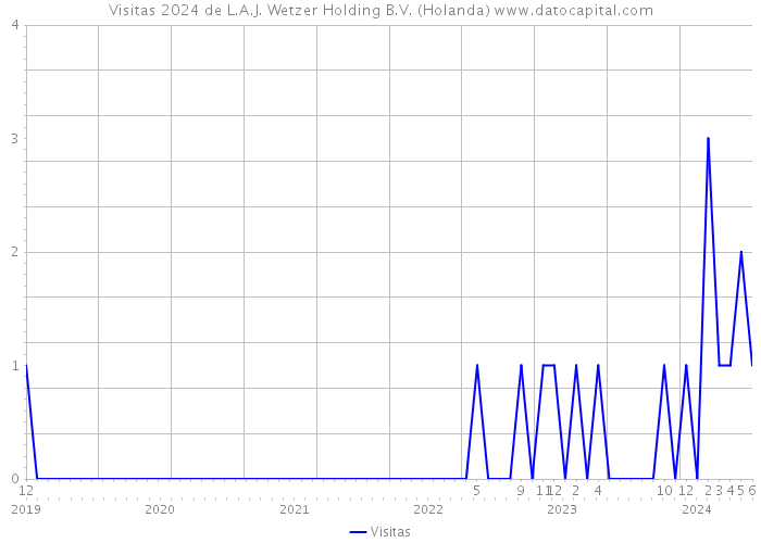 Visitas 2024 de L.A.J. Wetzer Holding B.V. (Holanda) 