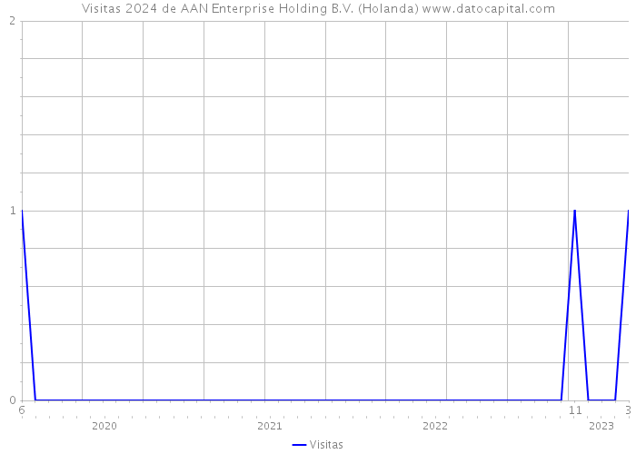 Visitas 2024 de AAN Enterprise Holding B.V. (Holanda) 