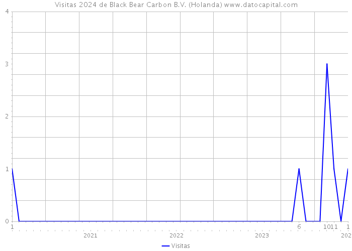 Visitas 2024 de Black Bear Carbon B.V. (Holanda) 