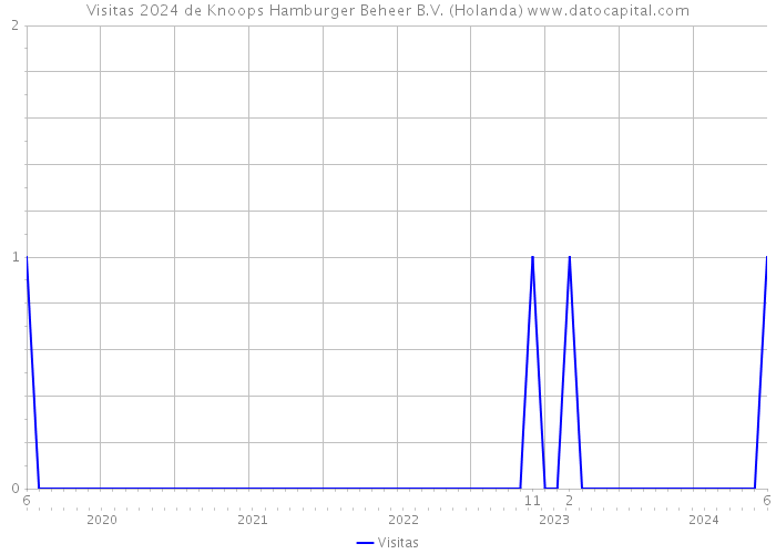 Visitas 2024 de Knoops Hamburger Beheer B.V. (Holanda) 