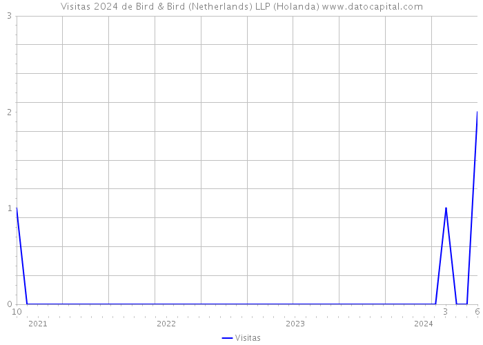 Visitas 2024 de Bird & Bird (Netherlands) LLP (Holanda) 
