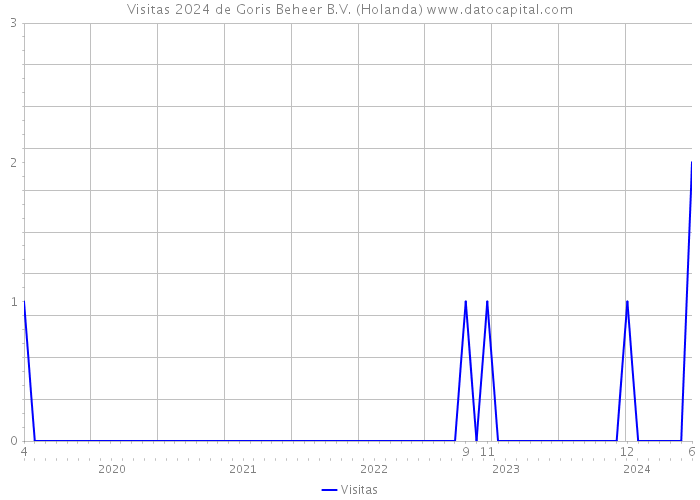 Visitas 2024 de Goris Beheer B.V. (Holanda) 