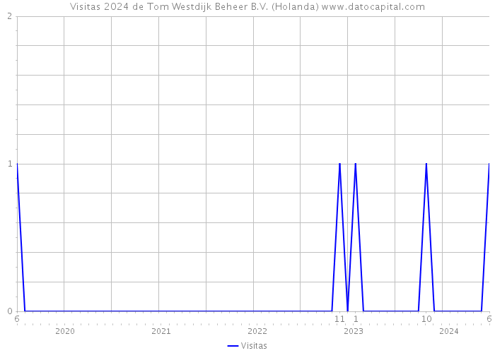 Visitas 2024 de Tom Westdijk Beheer B.V. (Holanda) 