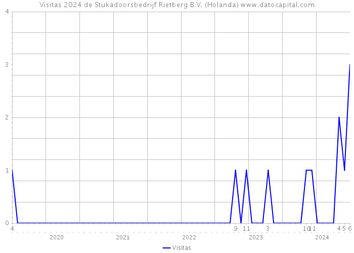 Visitas 2024 de Stukadoorsbedrijf Rietberg B.V. (Holanda) 