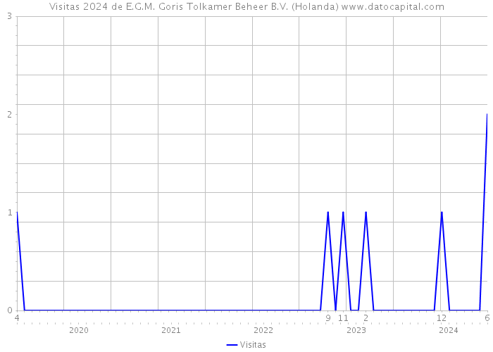 Visitas 2024 de E.G.M. Goris Tolkamer Beheer B.V. (Holanda) 