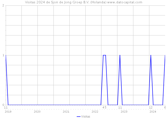 Visitas 2024 de Sjon de Jong Groep B.V. (Holanda) 