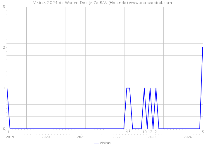 Visitas 2024 de Wonen Doe Je Zo B.V. (Holanda) 