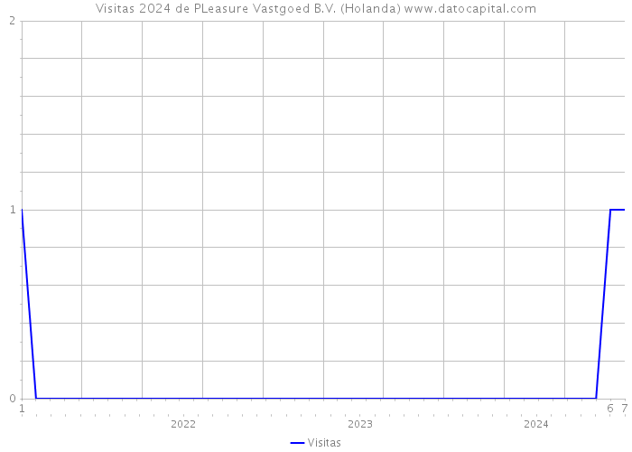 Visitas 2024 de PLeasure Vastgoed B.V. (Holanda) 