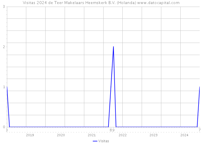 Visitas 2024 de Teer Makelaars Heemskerk B.V. (Holanda) 