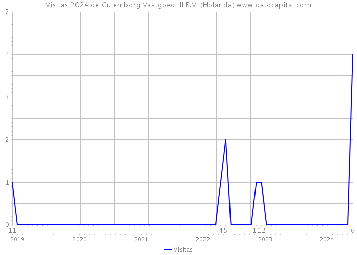 Visitas 2024 de Culemborg Vastgoed III B.V. (Holanda) 