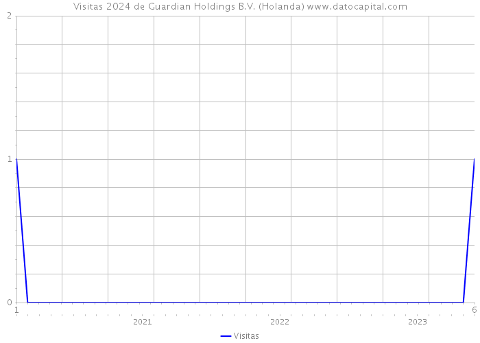 Visitas 2024 de Guardian Holdings B.V. (Holanda) 