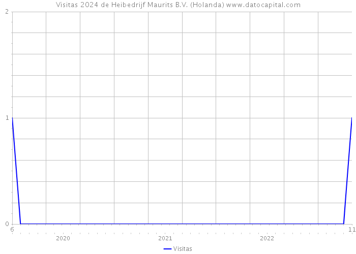 Visitas 2024 de Heibedrijf Maurits B.V. (Holanda) 