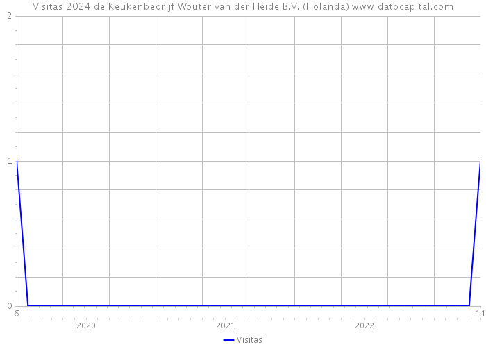 Visitas 2024 de Keukenbedrijf Wouter van der Heide B.V. (Holanda) 