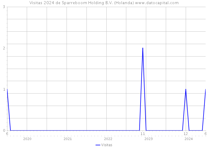 Visitas 2024 de Sparreboom Holding B.V. (Holanda) 