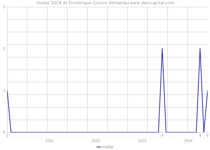 Visitas 2024 de Dominique Gruson (Holanda) 