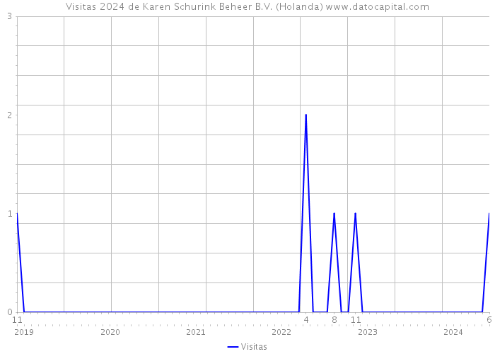 Visitas 2024 de Karen Schurink Beheer B.V. (Holanda) 