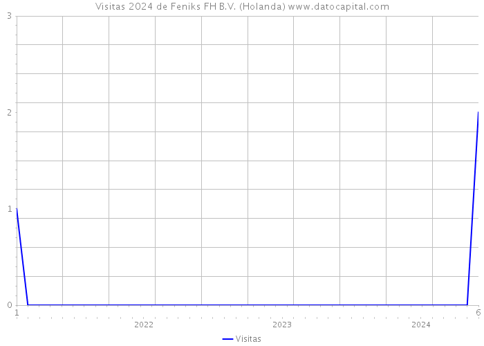 Visitas 2024 de Feniks FH B.V. (Holanda) 