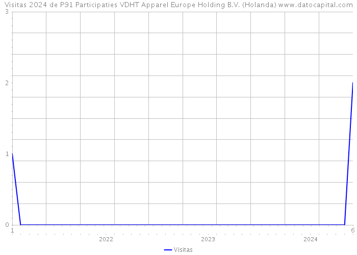 Visitas 2024 de P91 Participaties VDHT Apparel Europe Holding B.V. (Holanda) 