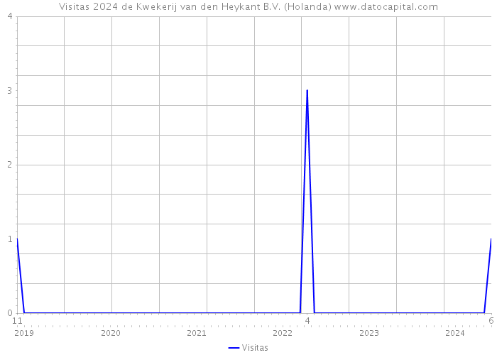 Visitas 2024 de Kwekerij van den Heykant B.V. (Holanda) 