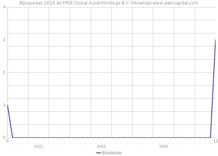Búsquedas 2024 de FPLE Global Asset Holdings B.V. (Holanda) 