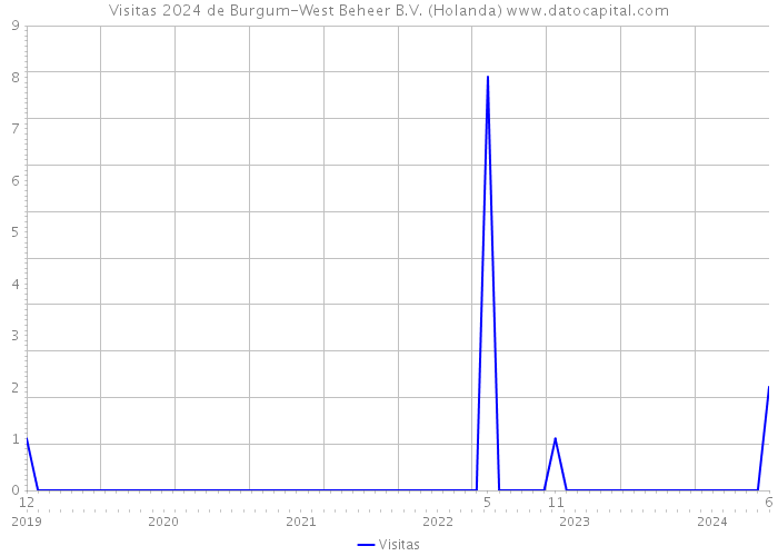 Visitas 2024 de Burgum-West Beheer B.V. (Holanda) 