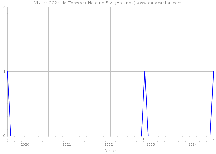 Visitas 2024 de Topwork Holding B.V. (Holanda) 