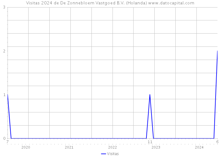 Visitas 2024 de De Zonnebloem Vastgoed B.V. (Holanda) 
