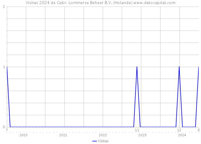 Visitas 2024 de Gebr. Lommerse Beheer B.V. (Holanda) 