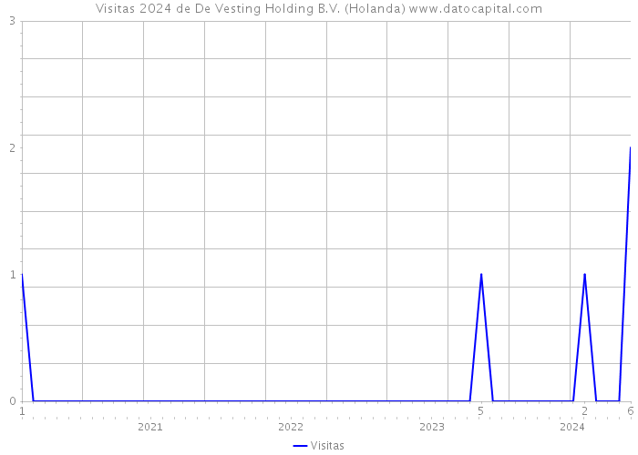 Visitas 2024 de De Vesting Holding B.V. (Holanda) 