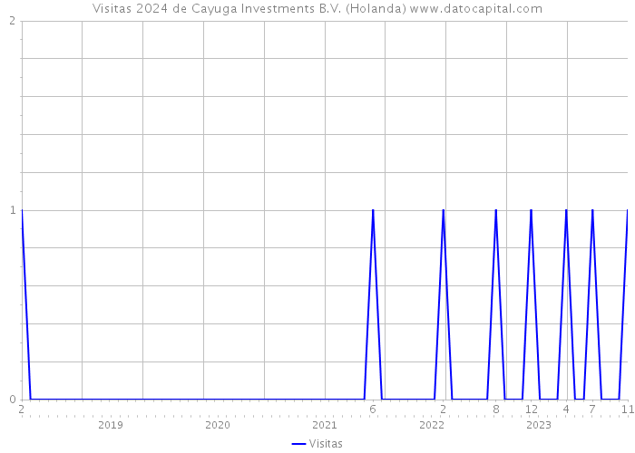 Visitas 2024 de Cayuga Investments B.V. (Holanda) 