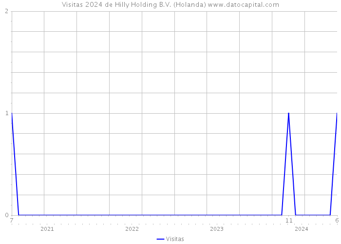 Visitas 2024 de Hilly Holding B.V. (Holanda) 