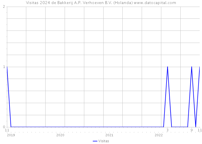 Visitas 2024 de Bakkerij A.P. Verhoeven B.V. (Holanda) 