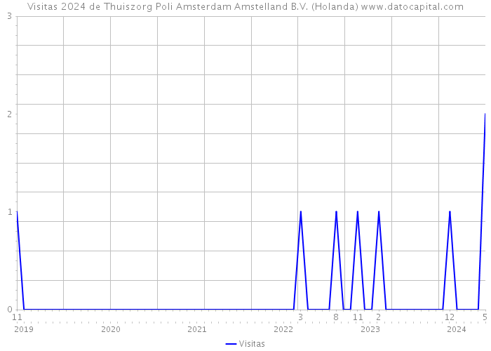 Visitas 2024 de Thuiszorg Poli Amsterdam Amstelland B.V. (Holanda) 
