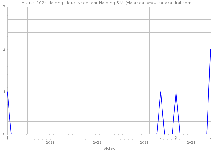 Visitas 2024 de Angelique Angenent Holding B.V. (Holanda) 