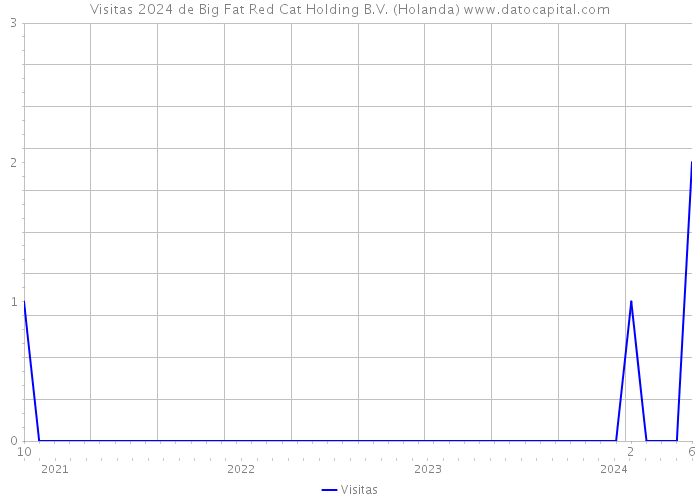 Visitas 2024 de Big Fat Red Cat Holding B.V. (Holanda) 